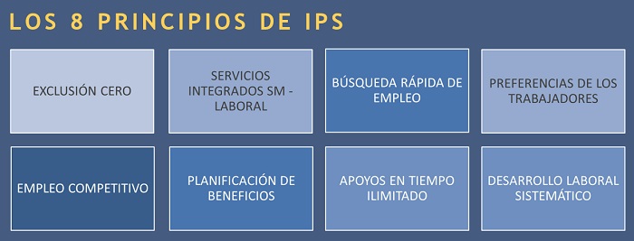 Portada del modelo Individual Placement and Support (IPS) en la intervención en empleo para personas con Trastorno Mental Grave 